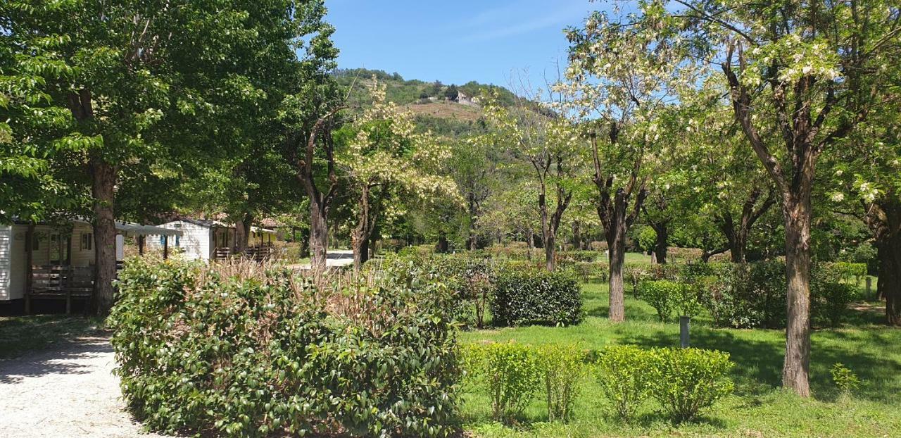 Camping Avec Piscine Et Riviere A Tournon Sur Rhone Ardeche Екстериор снимка