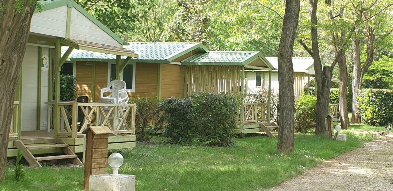 Camping Avec Piscine Et Riviere A Tournon Sur Rhone Ardeche Екстериор снимка